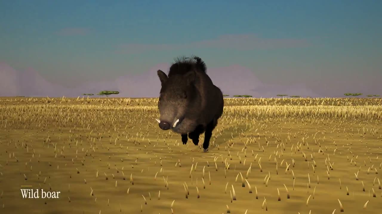 Still from the video