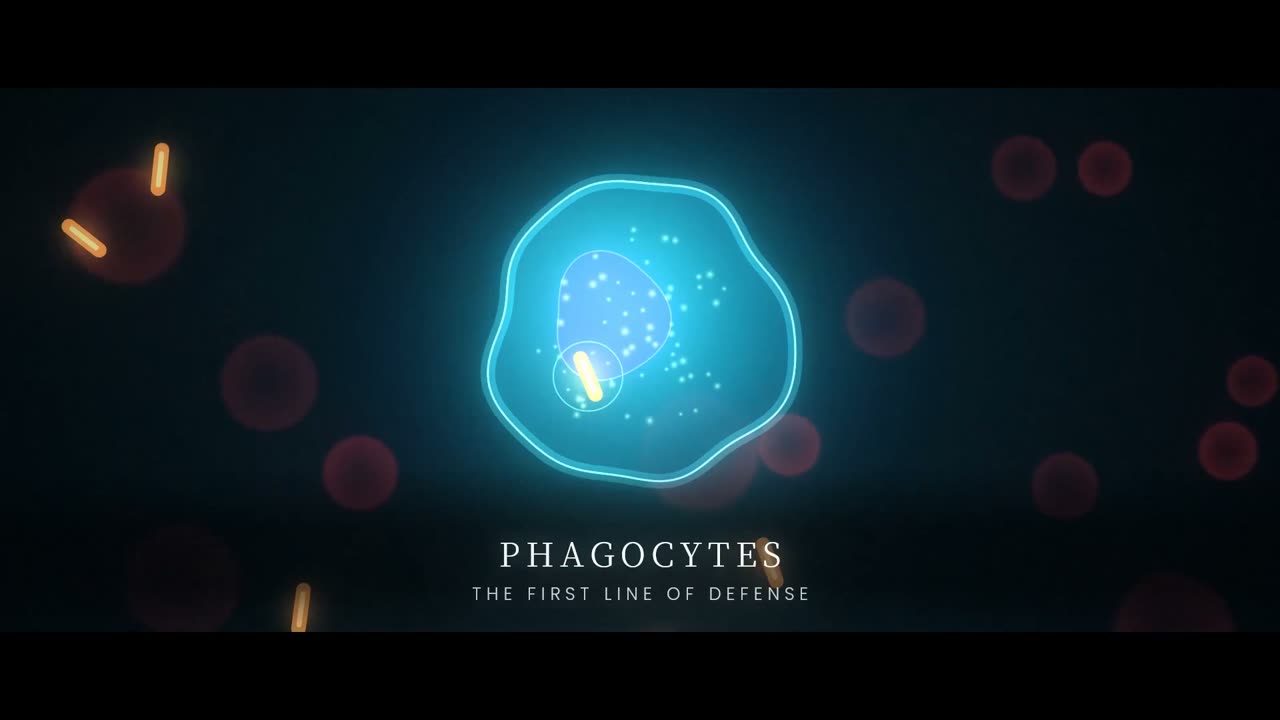 Still from the video
